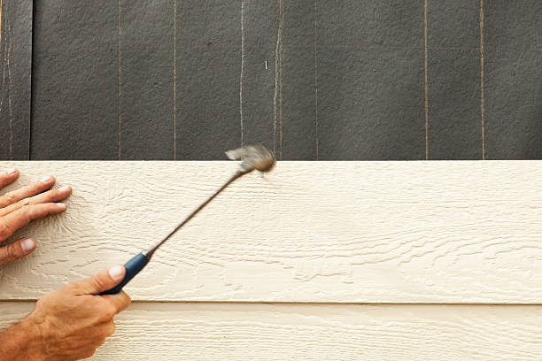Best Vinyl Siding Installation  in Second Mesa, AZ